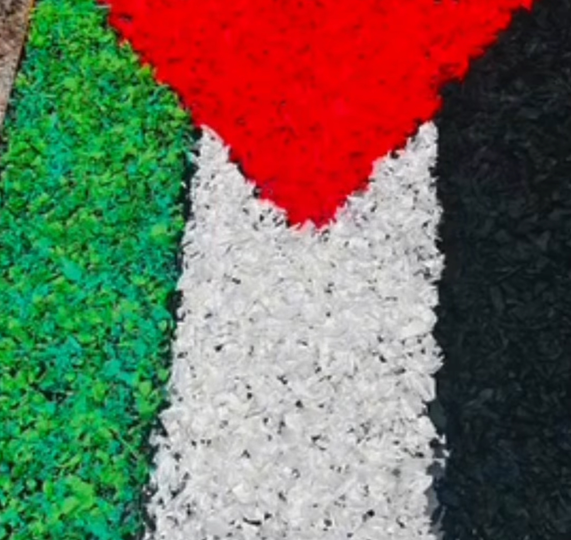 Palestinian Flag Through Our Students’ Eyes